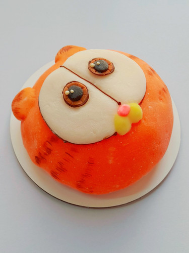 موچی گارفیلد